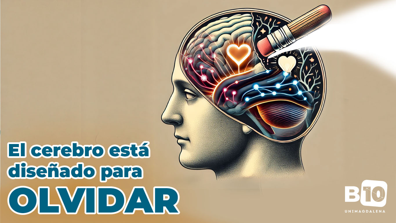 Un cerebro con un borrador