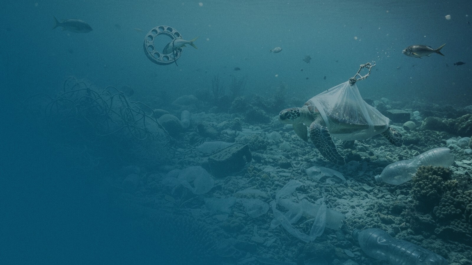 Contaminantes de los ecosistemas marinos costeros