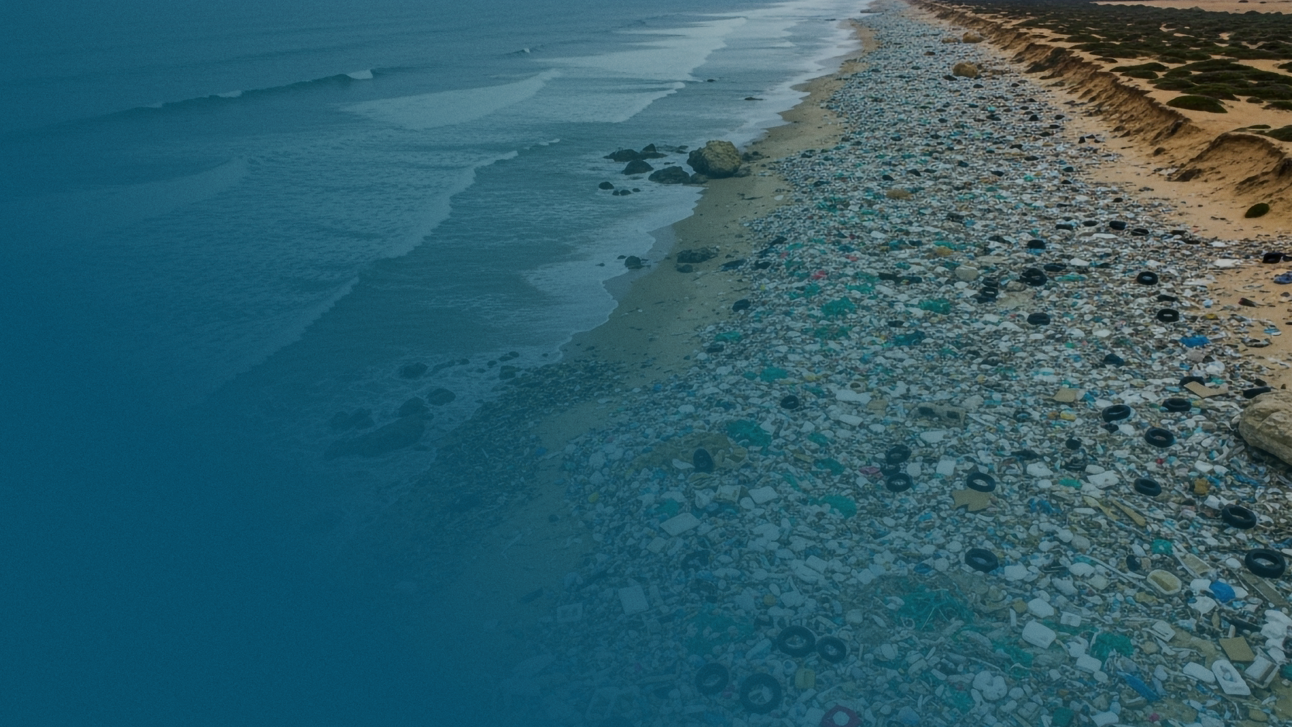 CB10-5 | Identificación y caracterización de Basura Marina