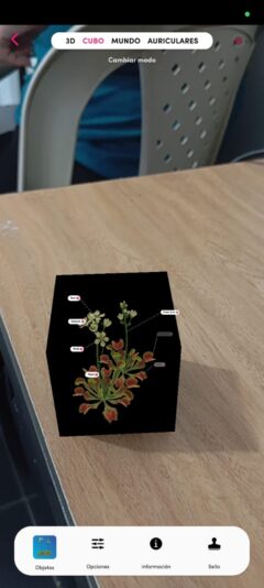 WhatsApp Image 2024-10-21 at 3.01.50 PM (1)