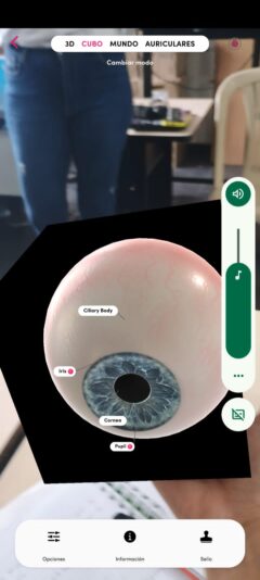 WhatsApp Image 2024-10-21 at 3.01.50 PM