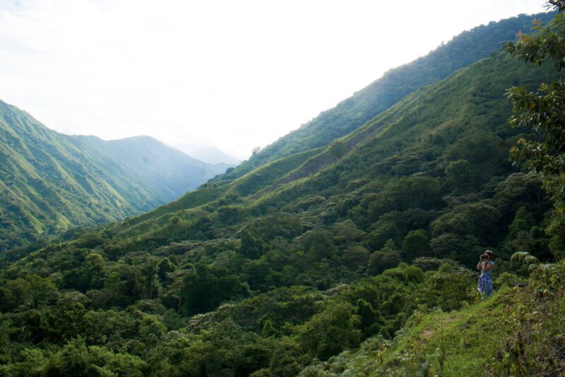 20369877_1626865814052519_8447169583310050863_o