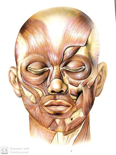 WhatsApp Image 2020-03-18 at 4.02.28 PM